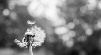 ylona-maria-rybka-Muy1MbTELcA-unsplash